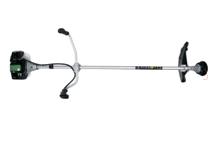 BFSP2101
